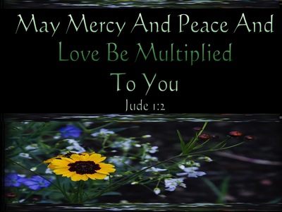 Jude 1:2 Mercy And Peace And Love Be Multiplied To You (green)